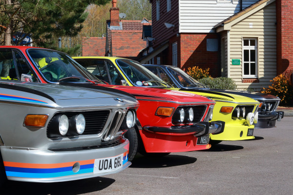 Sharknose Collection