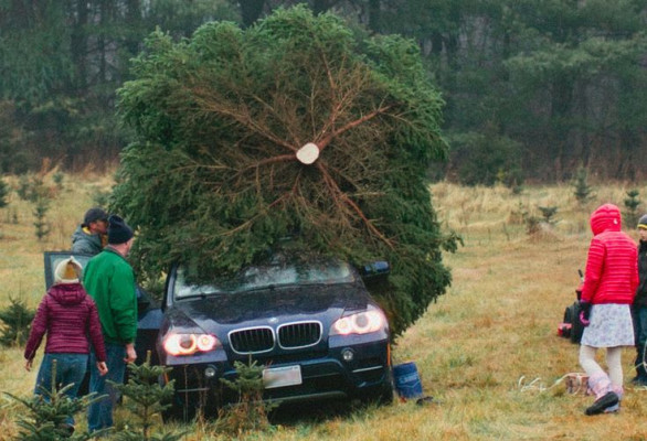 Who said BMWs aren’t winter cars?!