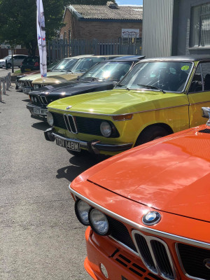 Sharknose Collection Meet – Images